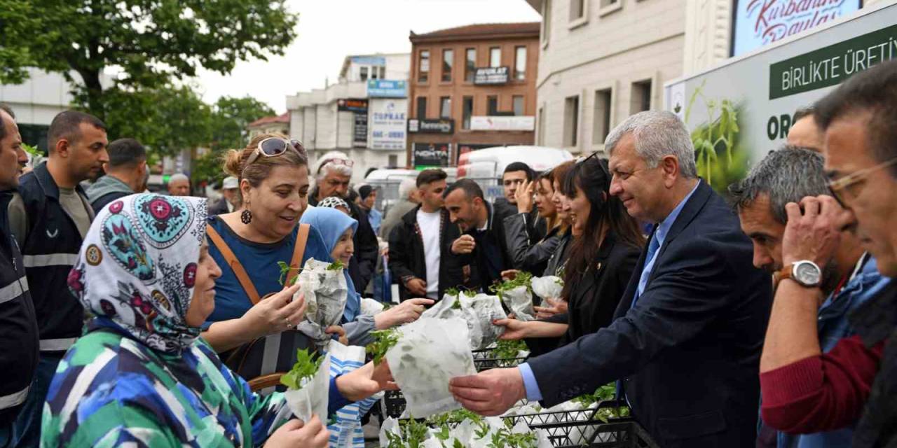 Osmangazi Belediyesi’nden Vatandaşa 100 Bin Fide