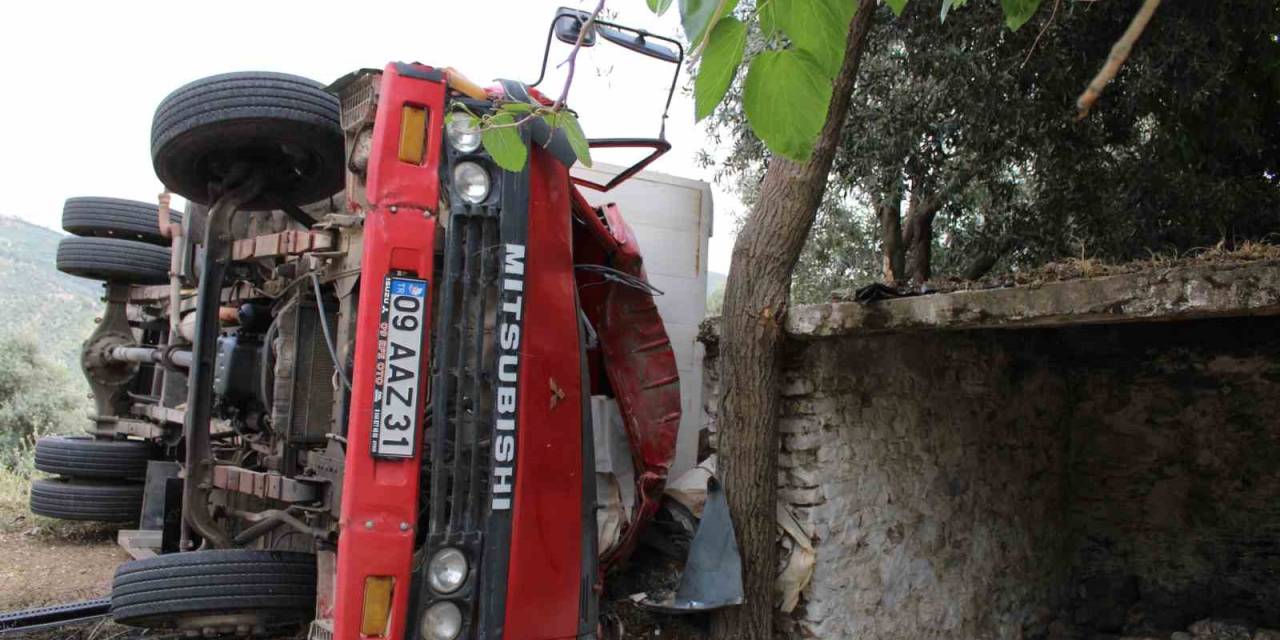 Seyyar Pideciyi Ölümden Zeytin Ağacı Kurtardı