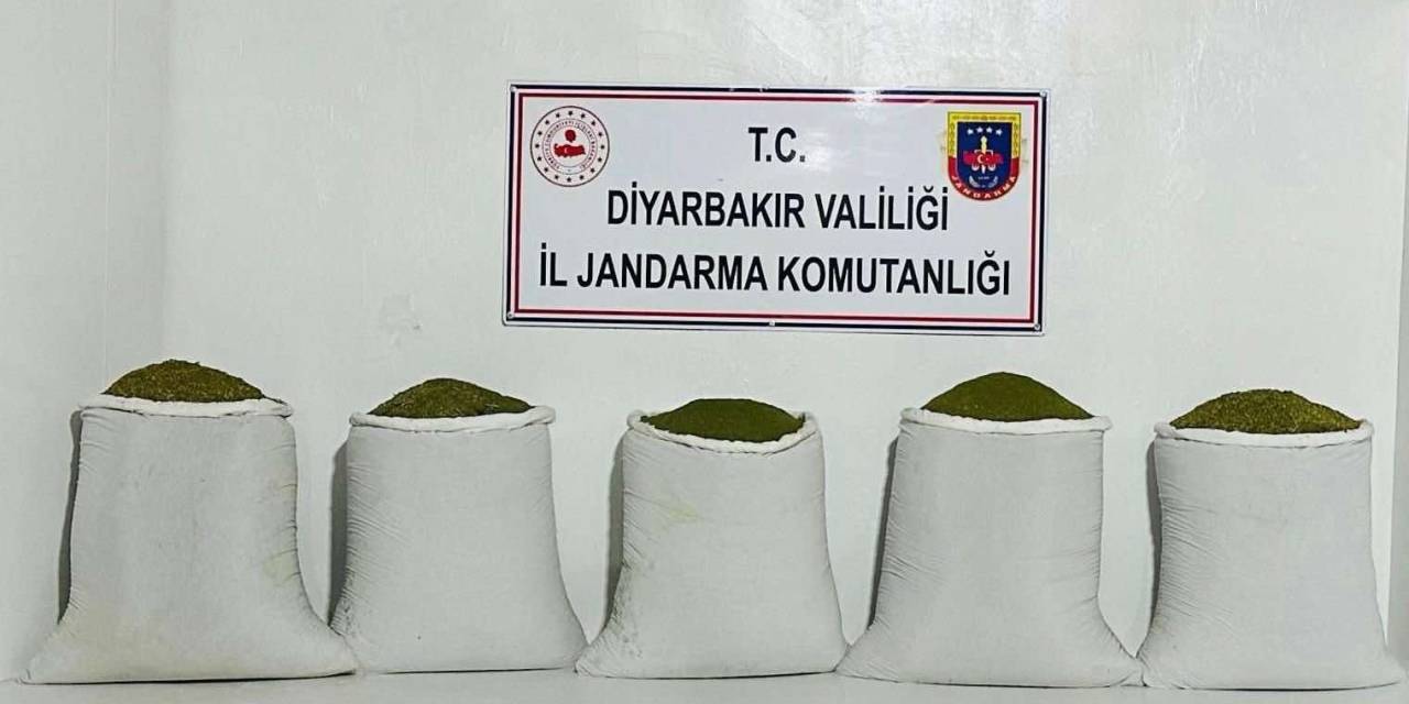 Diyarbakır’da 167 Kilo Toz Esrar Ele Geçirildi
