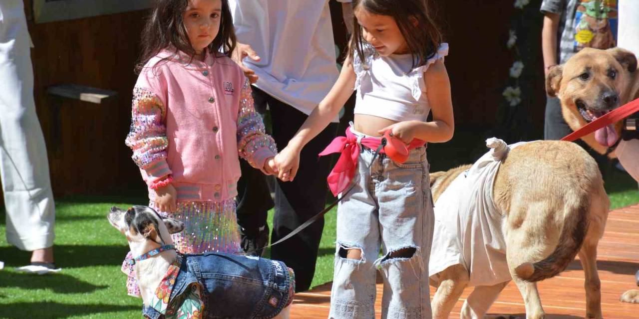 Engelli Hayvanların Defilesinden Renkli Sahneler