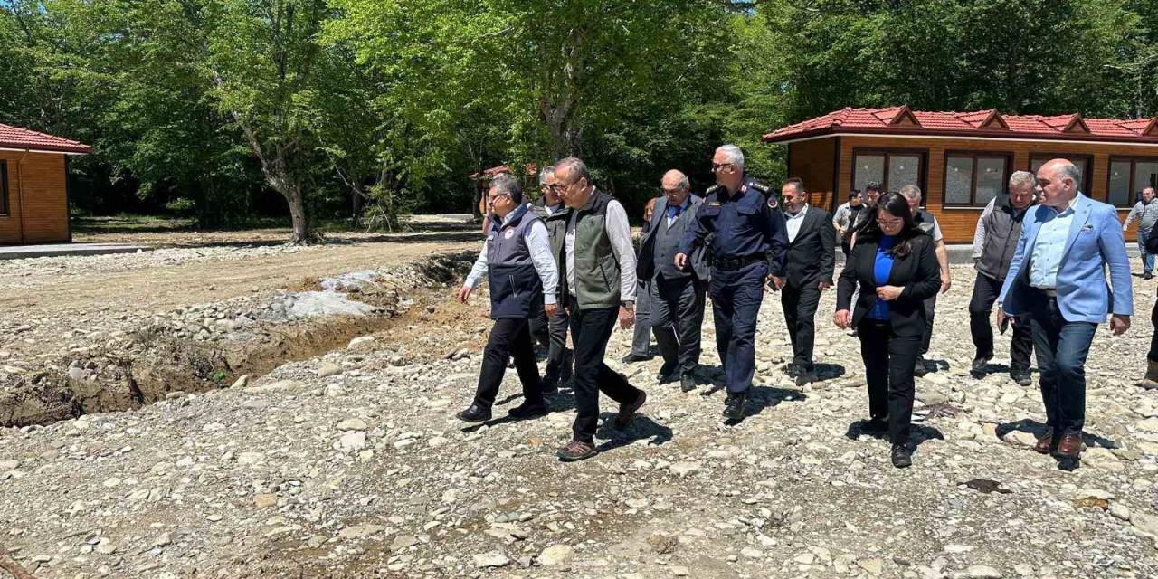 Sinop Millet Ormanı Projesi’nin Yüzde 60’ı Tamam