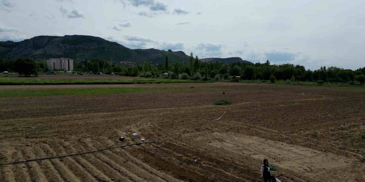 Tokat’ta Tarım Arazisi Üzerine Yapılmak İstenen Şehir Hastanesine Tepki