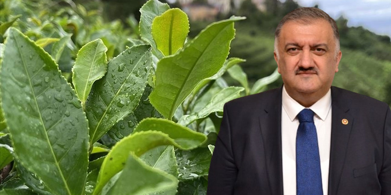 Karal’dan Tarım Bakanı Yumaklı’ya çay maliyeti tepkisi: Maliyet hesaplamasını TÜİK’e mi yaptırdınız Sayın Bakan?