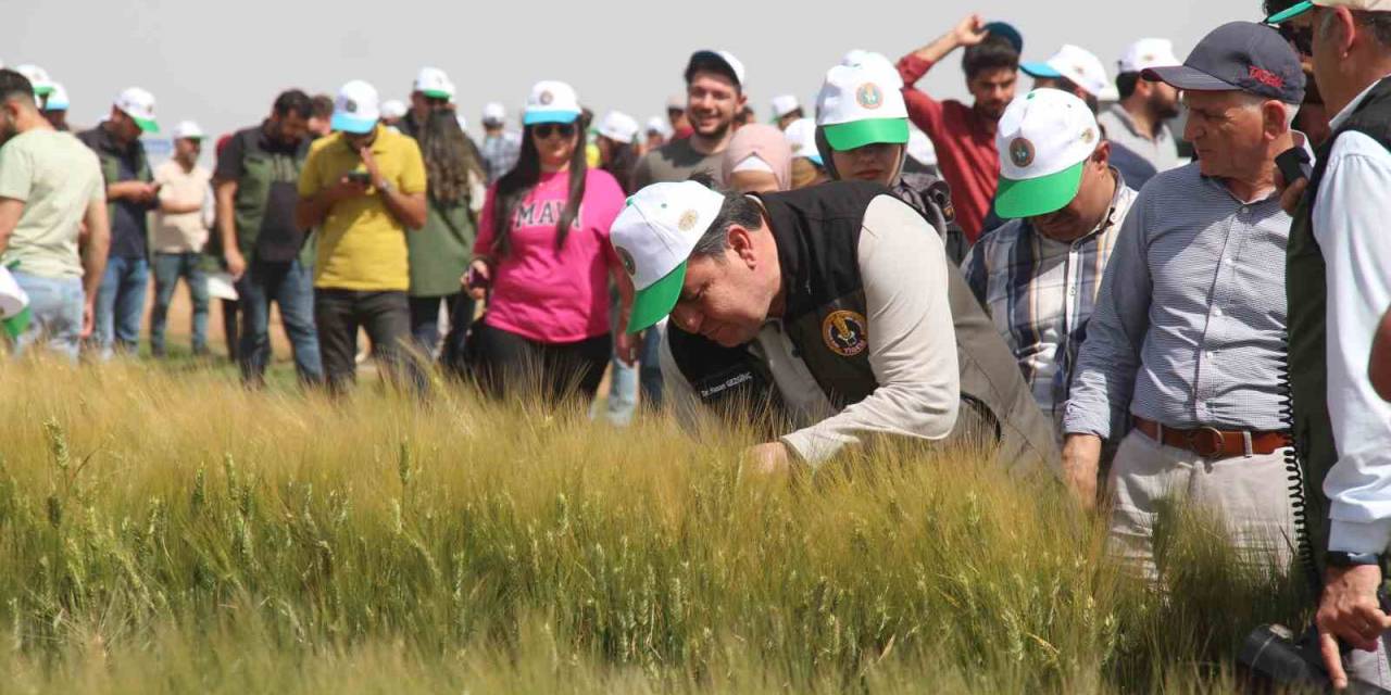 Tigem’den Bölge Çiftçisini Umutlandıran Proje