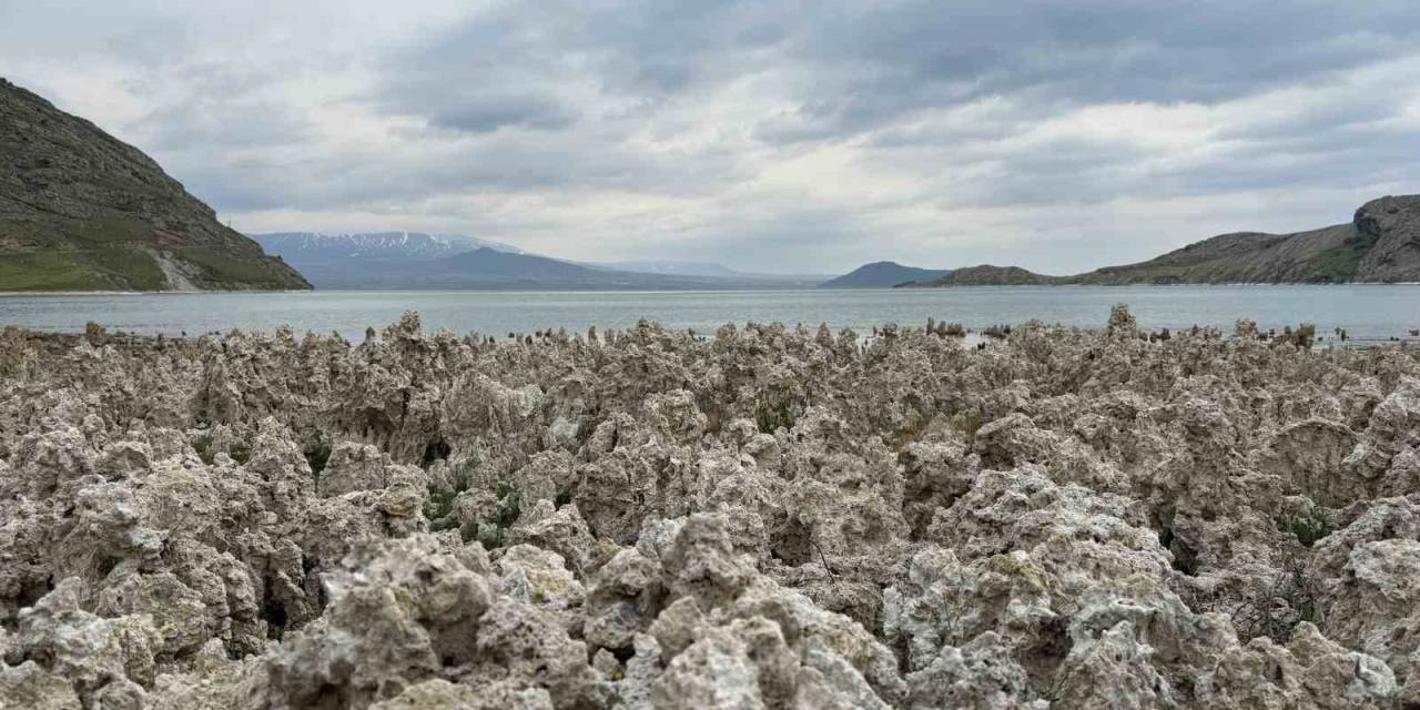 Van Gölü Kıyılarındaki Mikrobiyalitler Vatandaşları Şaşırttı