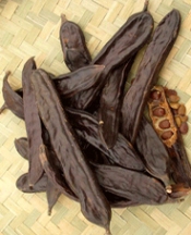 Ruhlar keçiboynuzu ile iyileşecek