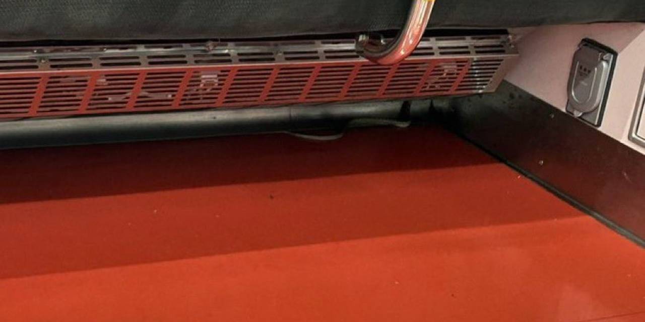 Japonya’da Yolcu Treninde Yılan Paniği