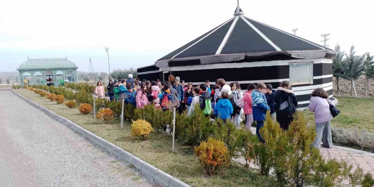 Sincan Belediyesi Eko Çiftliği, Öğrencileri Ağırlıyor