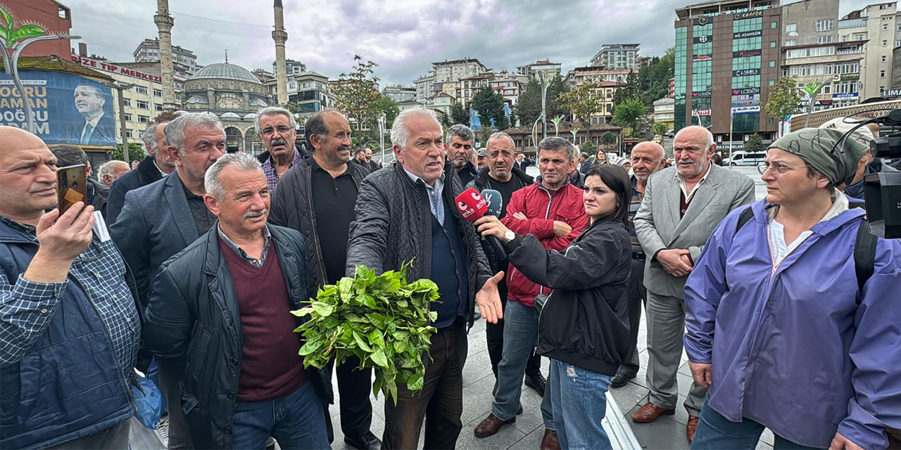 Rizeli Çay Üreticilerinden Tepkiler Dinmiyor: "Yaktınız Ula Rize'yi!"