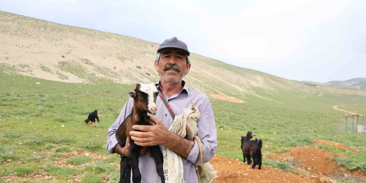Kahramanmaraşlı Çoban 40 Hayvanını Dağ Zirvesinde 6 Ay Otlatıyor