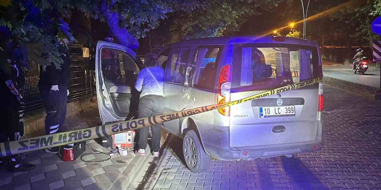 Ağaca Çarpan Ticari Araç Sürücüsü Hayatını Kaybetti