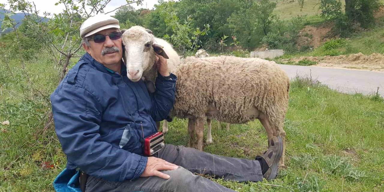 Hastalık Sonrası Aldığı Küçükbaş Hayvanlarla Yeniden Hayata Bağlandı