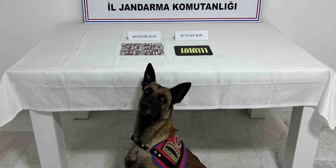 Aile Boyu Uyuşturucu Taciri Çıktılar