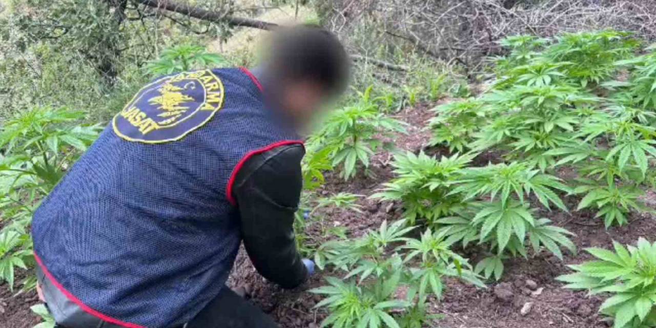 Akhisar’da Uyuşturucu Operasyonu