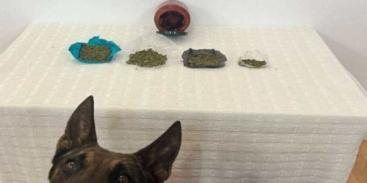 Çantadan Çıkan Kavanozda Esrar Yakanladı