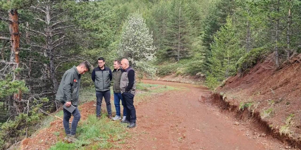 Erzurum Orman Bölge Müdürü Ayatay, Refahiye Ormanlarında İncelemelerde Bulundu