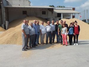 Bafra Ziraat Odası Çeltik Fabrikalarını Ziyaret Etti