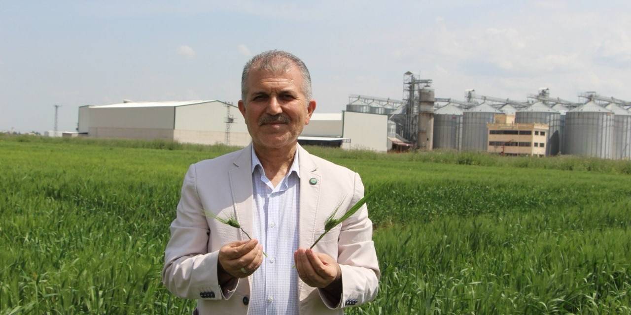 Buğday İçin Geri Sayım Başladı, Çiftçi Yüksek Verim Bekliyor