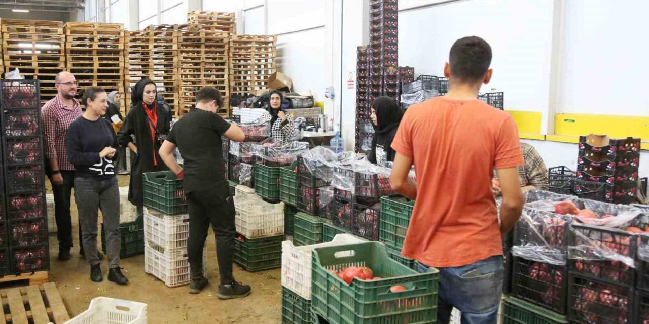 Ege Bölgesinin Tarımı İçin Önem Taşıyan Deppo Efes Sezona Hazırlanıyor