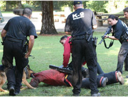 Belçika'da PKK'ya büyük darbe!