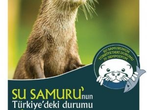 Nilüfer Belediyesi Su Samuru Sempozyumu’na Ev Sahipliği Yapacak