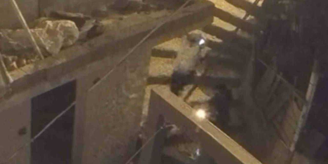 ’gürültü Yapmayın’ Diye Uyardığı İçin Vurulmuş, O Anlar Kamerada