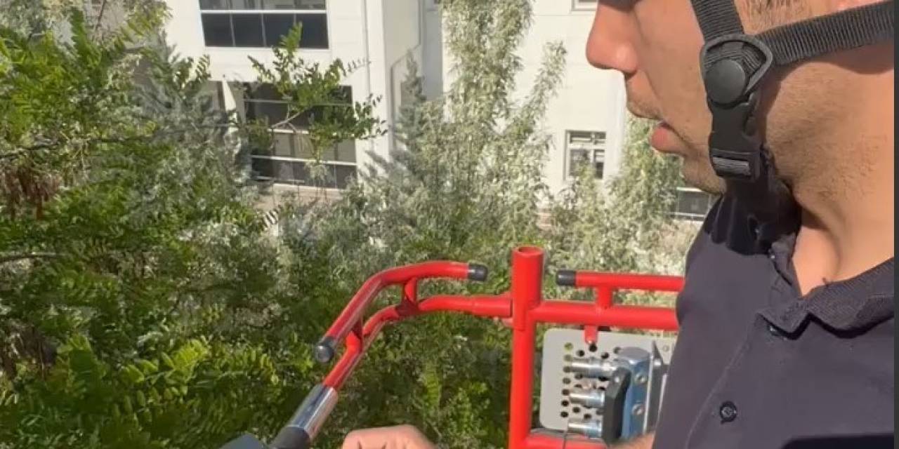 Yuvasından Düşen Karga Yavrusu Yuvasına Bırakıldı