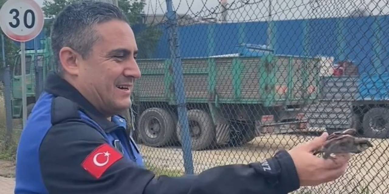 Uçamayan Serçenin İmdadına Yetiştiler