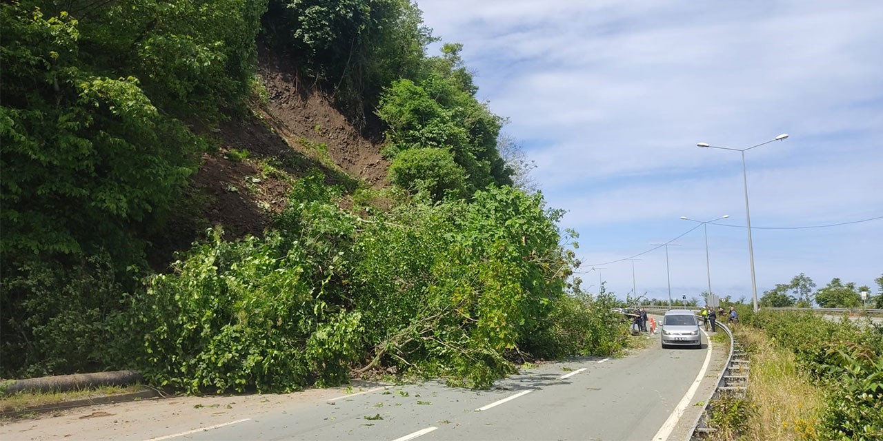 Karadeniz Sahil Yolu'nda heyelan