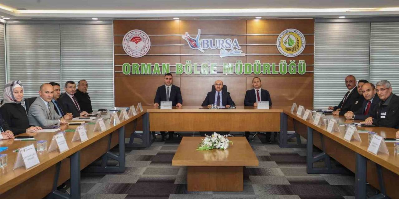 Bursa’da Ormanlık Alanda Piknik Yapmak Yasaklandı