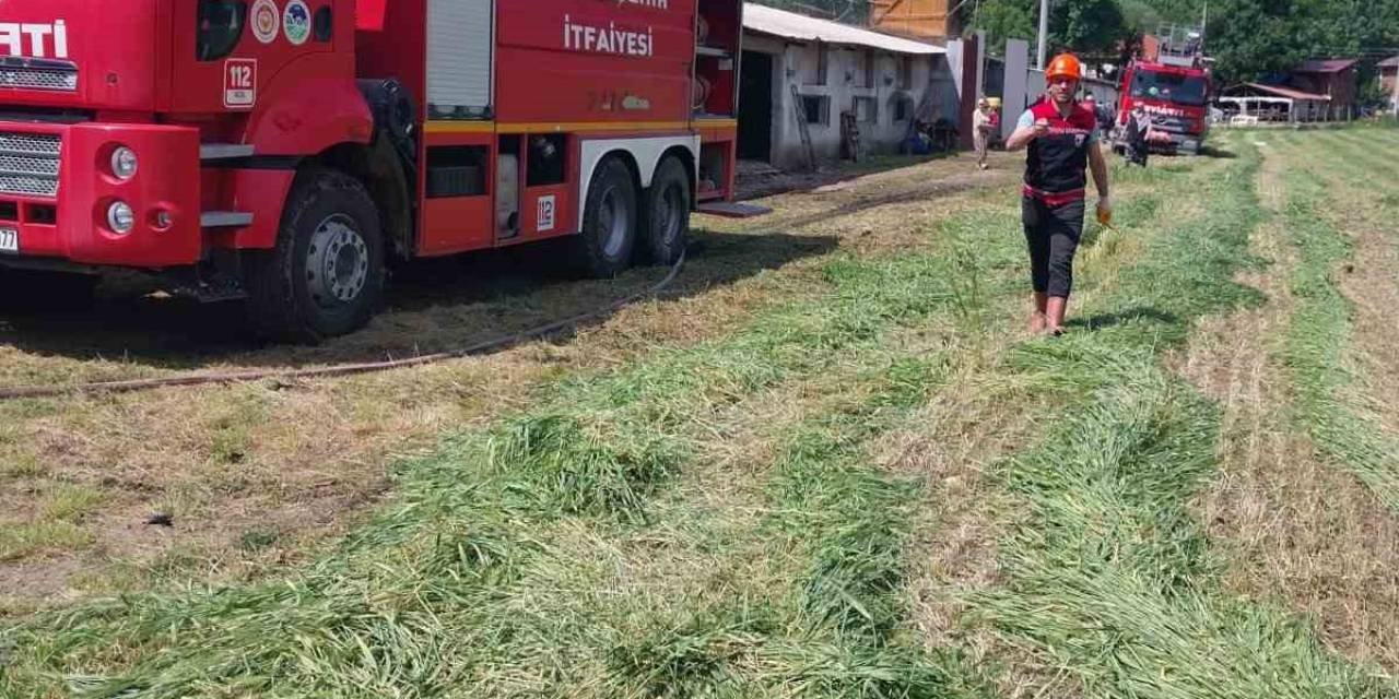 Tavuk Çiftliğinde Panik Oluşturan Yangını İtfaiye Söndürdü