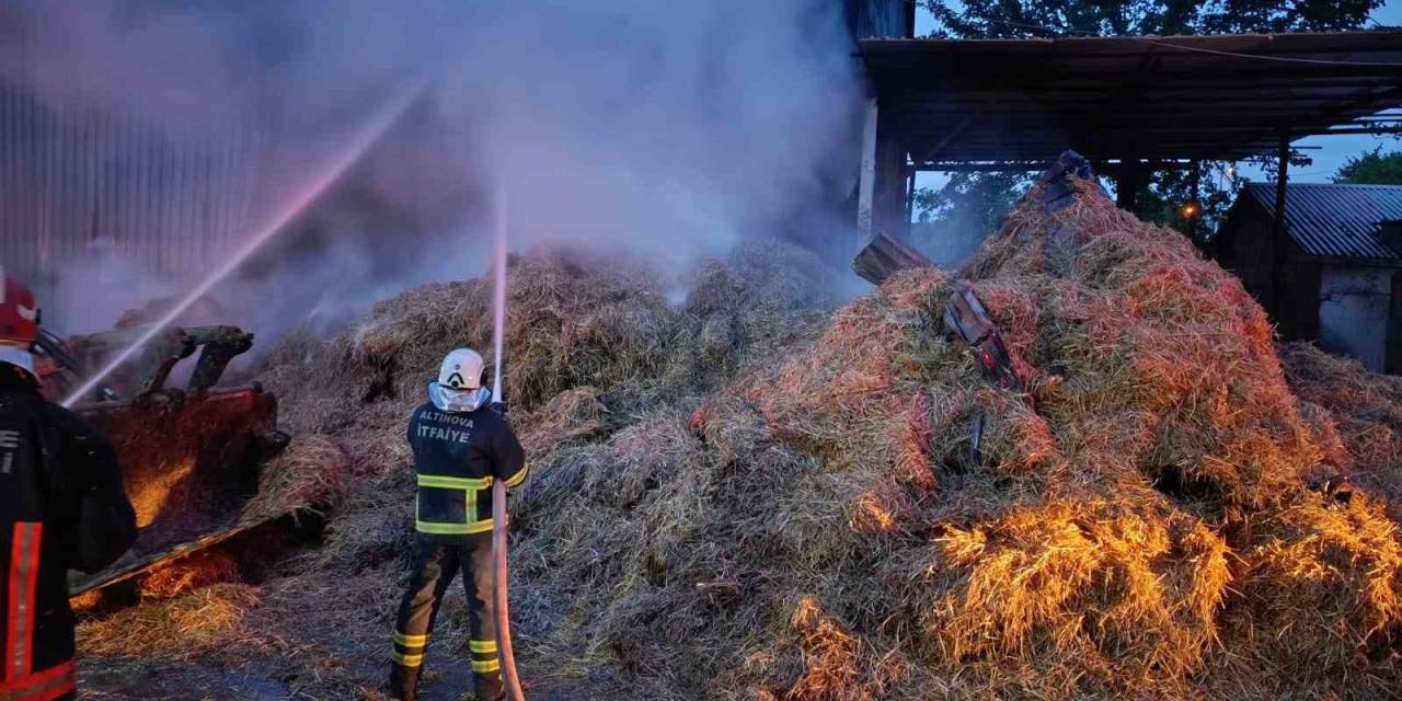 Yalova Altınova’da Samanlık Yangını