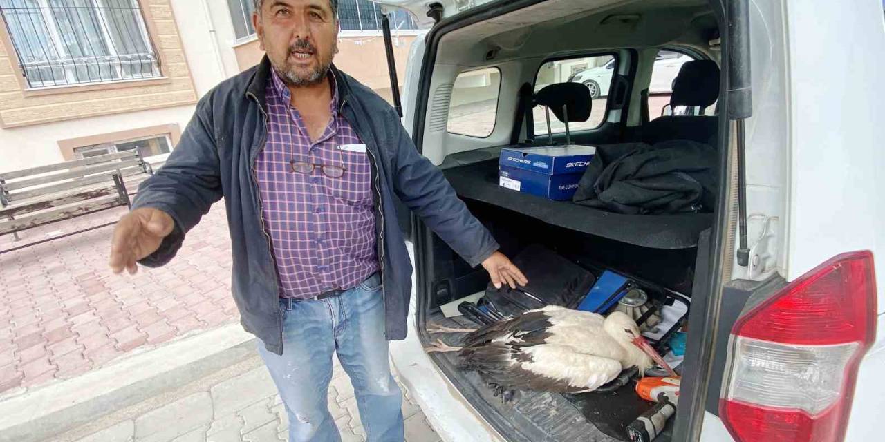 Duyarlı Vatandaş Yaralı Leyleği Arazide Bırakmadı, İlçeye Götürdü