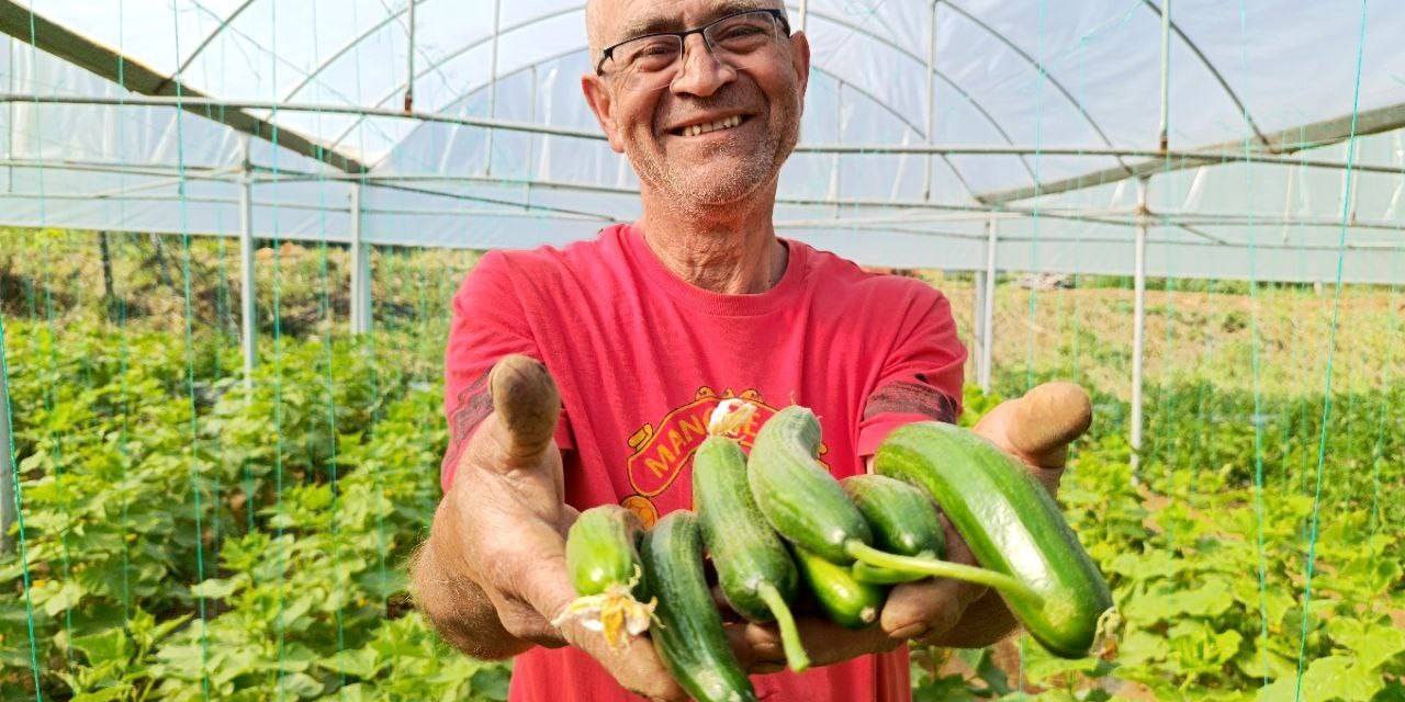Emekli Oldu Kendi İmkanlarıyla Sera Kurdu, Üretime Başladı Ama Çalıştıracak Eleman Bulamıyor