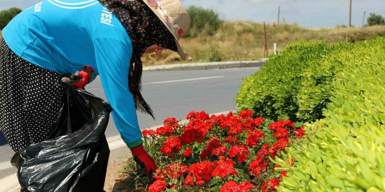 Alanya’da 571 Bin 250 Adet Mevsimlik Çiçek Toprakla Buluştu