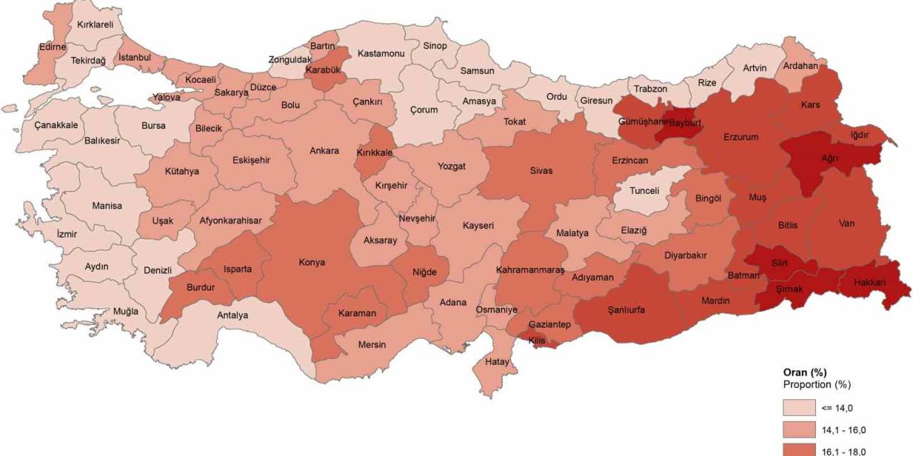 Gümüşhane Genç Nüfus Ortalamasında Doğu Karadeniz İllerini Geride Bıraktı