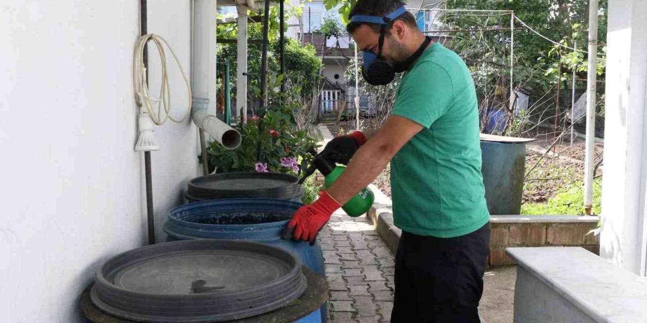 Ekipler Sivrisineklerle Mücadele İçin Sahada