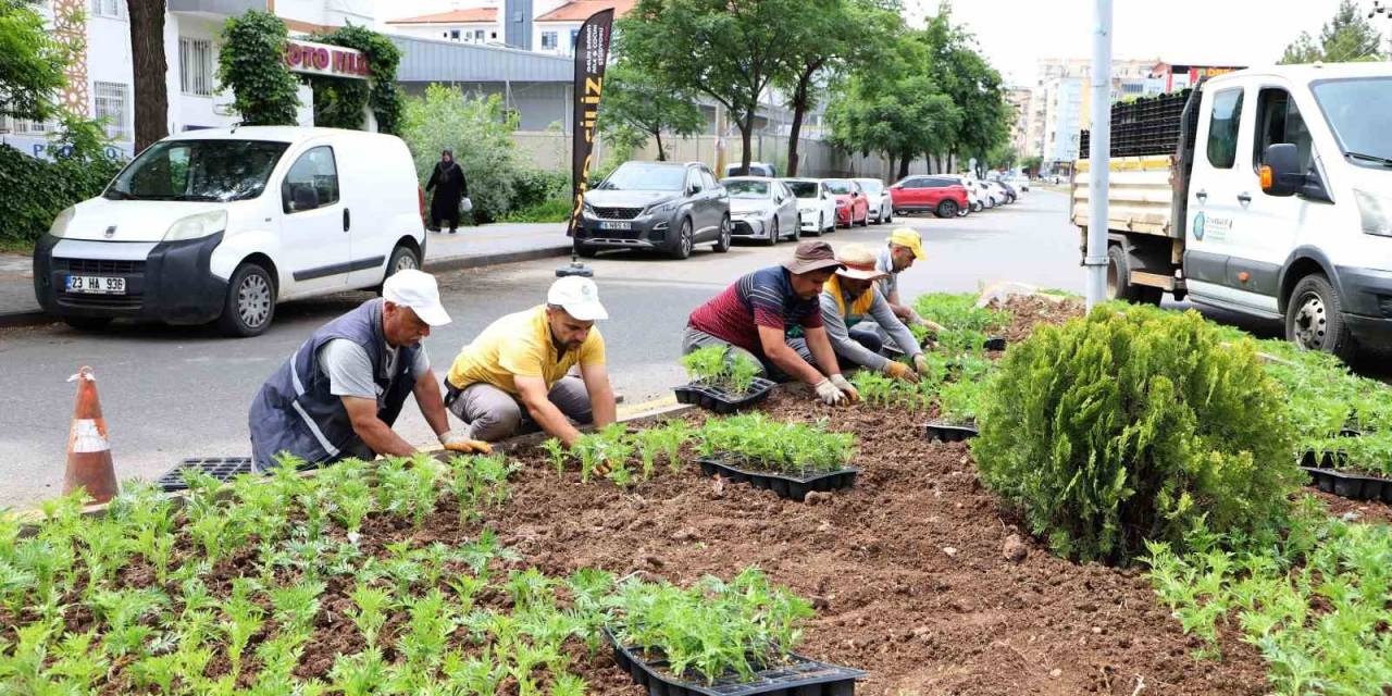 Bağlar’da Refüjlere Kadife Çiçekleri Dikildi