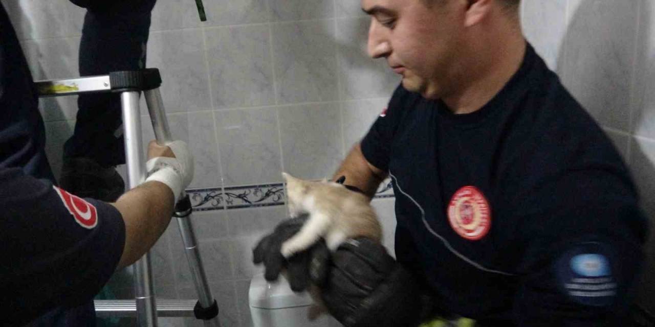 Hastanenin Havalandırma Boşluğuna Düşen Yavru Kedi İtfaiye Operasyonuyla Kurtarıldı