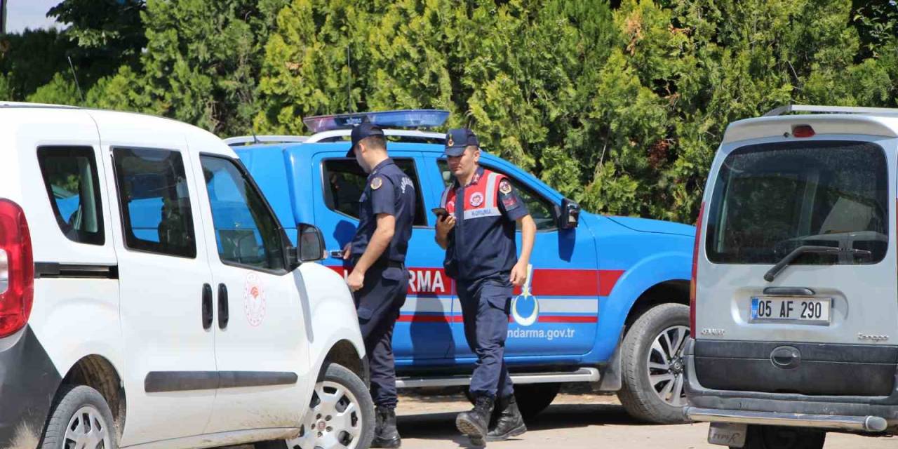 Amasya’da Büyükbaş Hayvana Vahşet: 5 Gözaltı