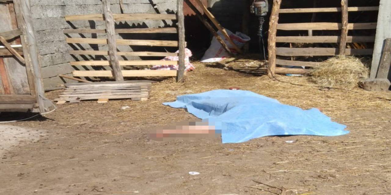 Koyun Kırkarken Elektrik Akımına Kapılarak Hayatını Kaybetti