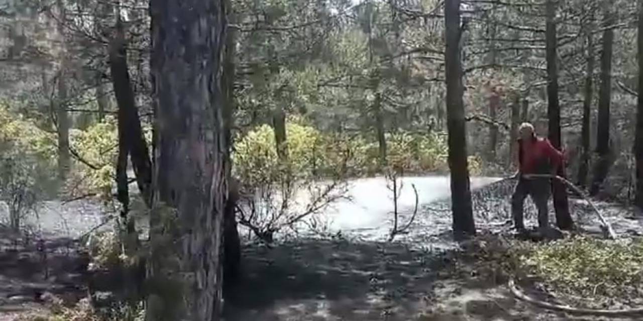 Kütahya’da Orman Yangını Büyümeden Söndürüldü