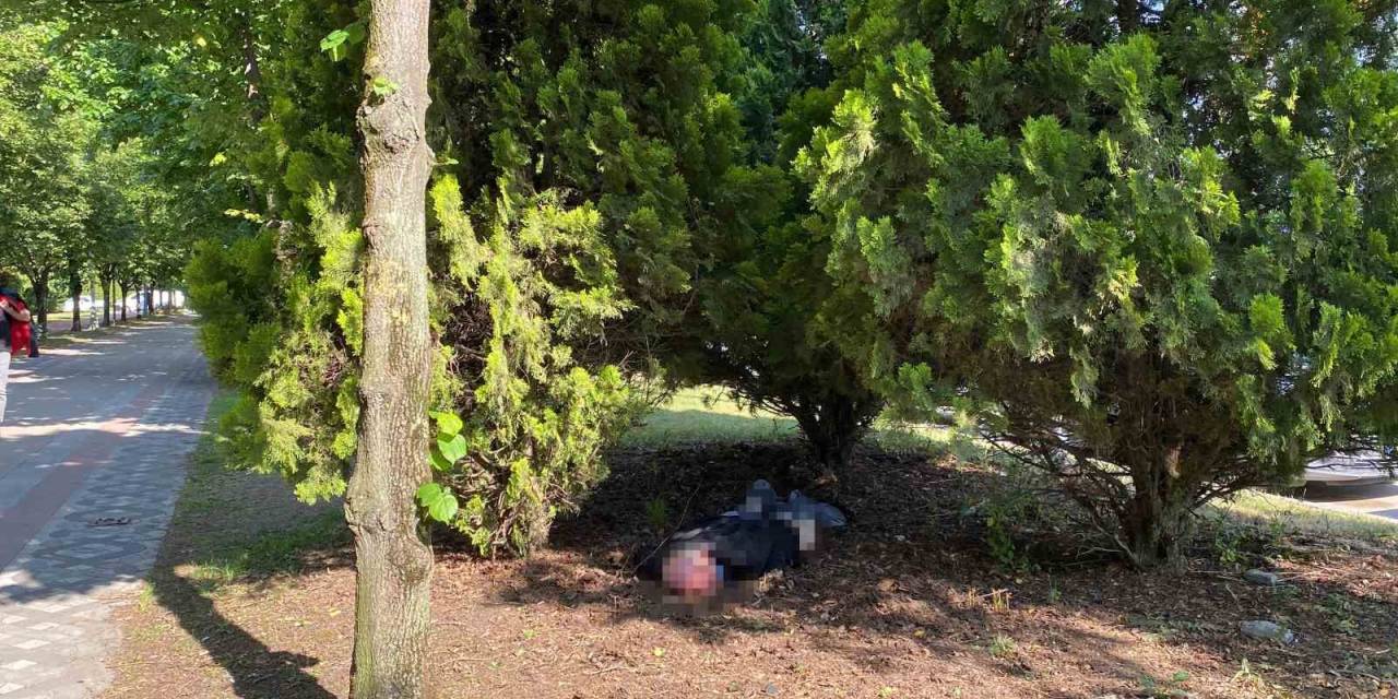 Alkolden Ayakta Duramadı, ’tansiyonum Var’ Dedi