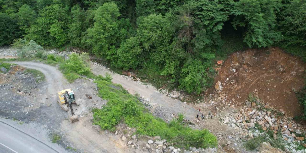 Dere Islahı Çalışmasında Bin 183 Yaşındaki Porsuk Ağacını Kökünden Kestiler