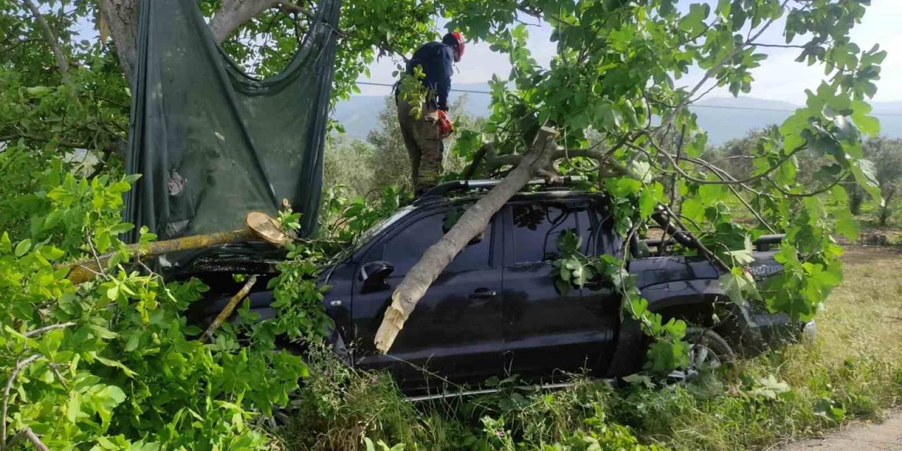 Bursa’da Kontrolden Çıkan Kamyonet Ağaca Çarptı