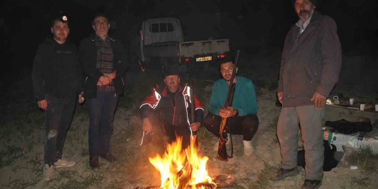 Çiftçiler Ellerinde Tüfeklerle Domuz Nöbeti Tutuyor