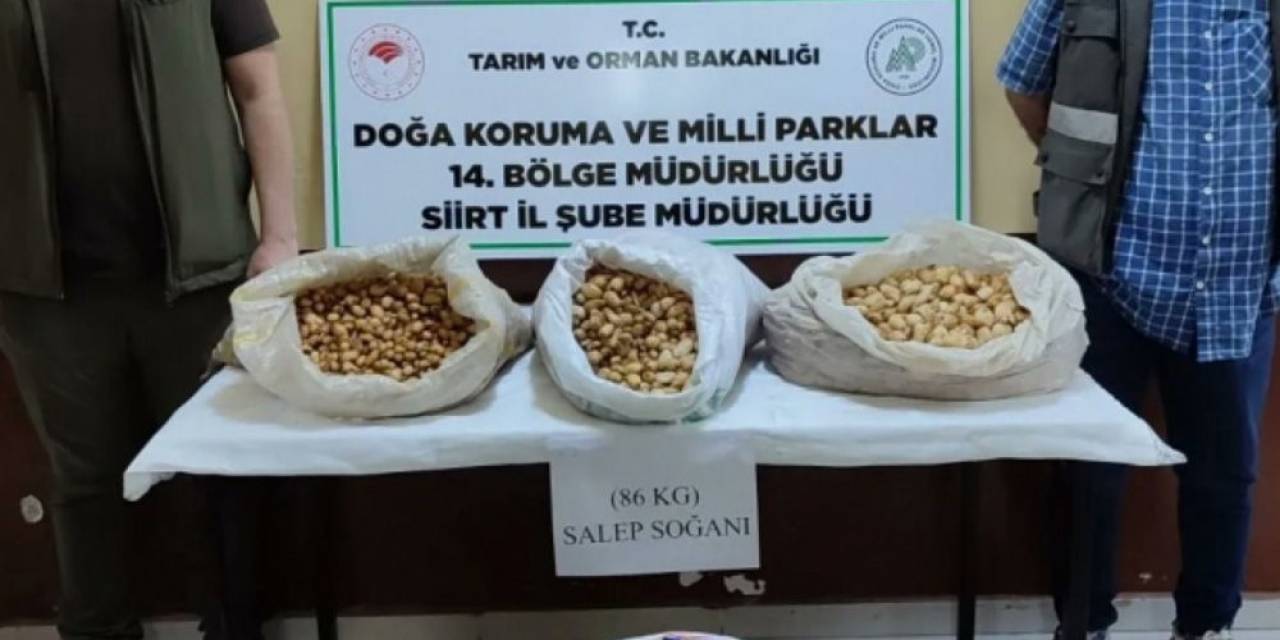 Siirt’te Salep Soğanı Toplayan Şahıslara 387 Bin 141 Lira Ceza Kesildi