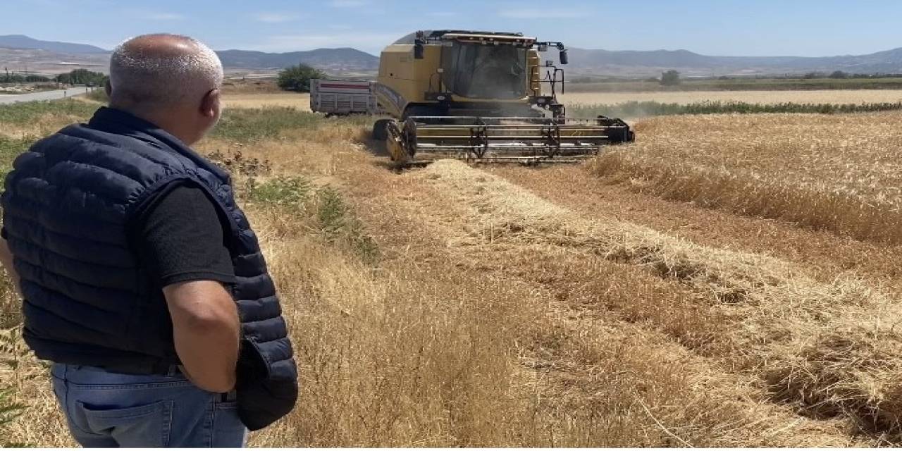 Üzümüyle Ünlü Manisa’nın Alaşehir İlçesinde Arpa Hasadı Başladı