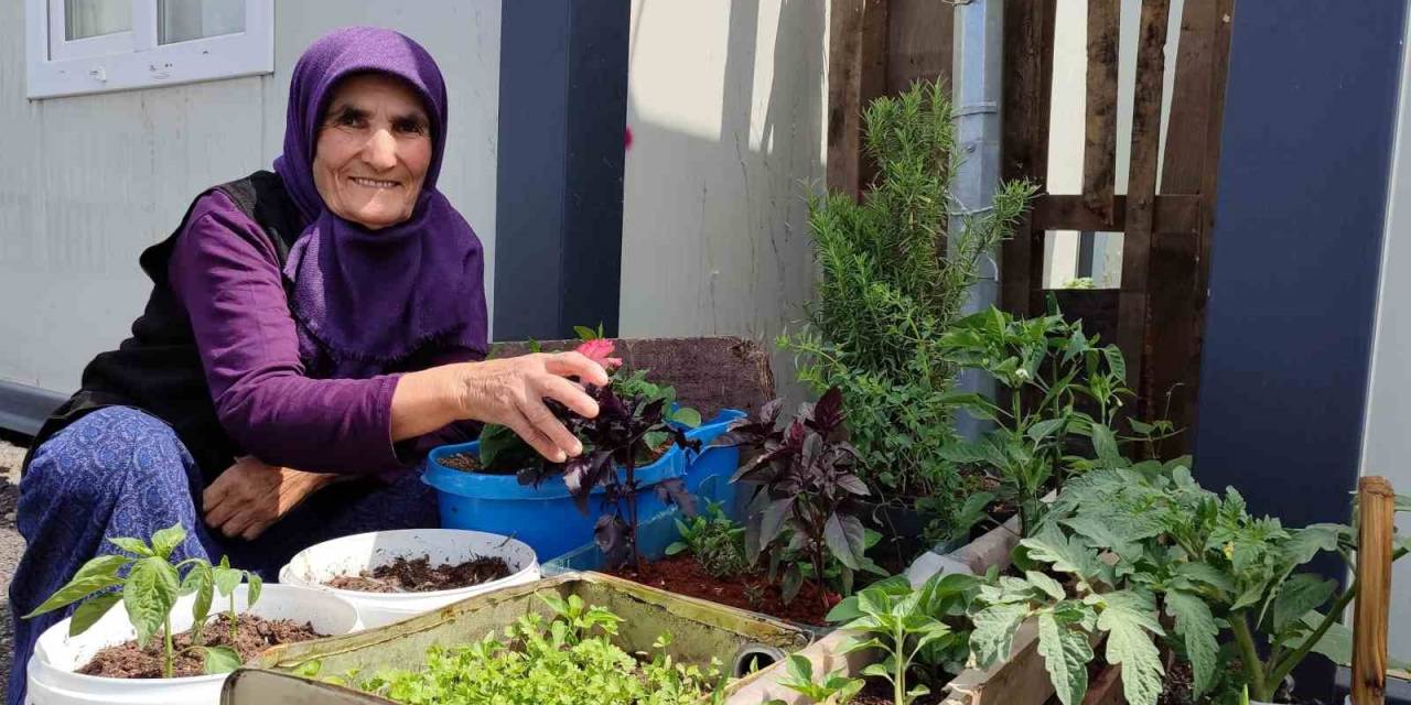 Depremde Evi Yıkılan 76 Yaşındaki Eşe Teyze, Konteynerin Önüne Bahçe Yaptı