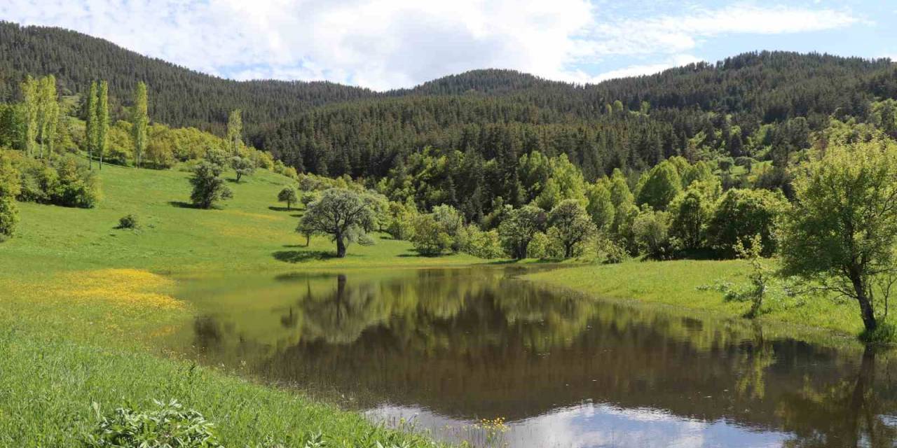 Erzurum’un Yaylalarında Bahar Esintisi